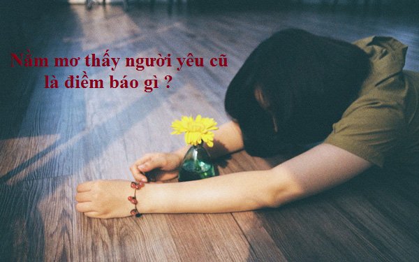 Chiêm bao thấy được người yêu cũ quay lại và tặng quà