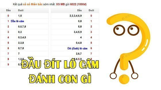 Đầu đít câm là gì
