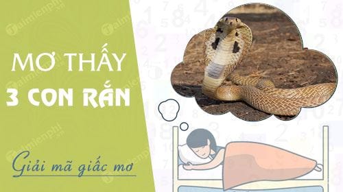 Mơ thấy 3 con rắn đánh con gì một phát ăn ngay