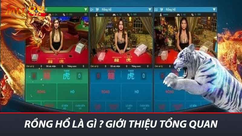 Rồng Hổ là gì ? Giới thiệu tổng quan